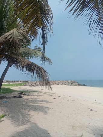 On the beach. Marari beach daze homestay