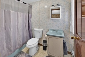 A bathroom with a toilet, sink, and shower curtain. - Charming 1-bedroom apartment in welcoming Carbondale with AC (Carbondale)