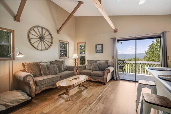 Smart TV, fireplace, table tennis, books