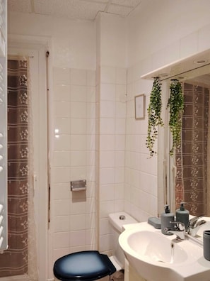 Hair dryer, towels, soap, toilet paper