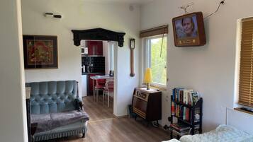1 bedroom, iron/ironing board, bed sheets