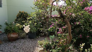 A garden with a variety of plants and flowers, a large pot, and a small building in the background. - POUSADA DECARLI (Florianopolis)