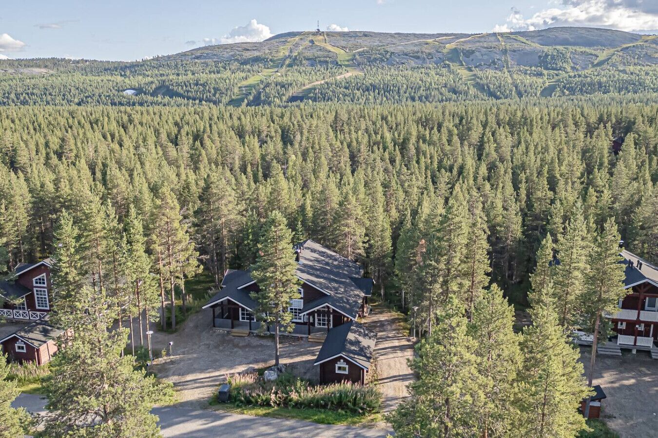 Eksteriør