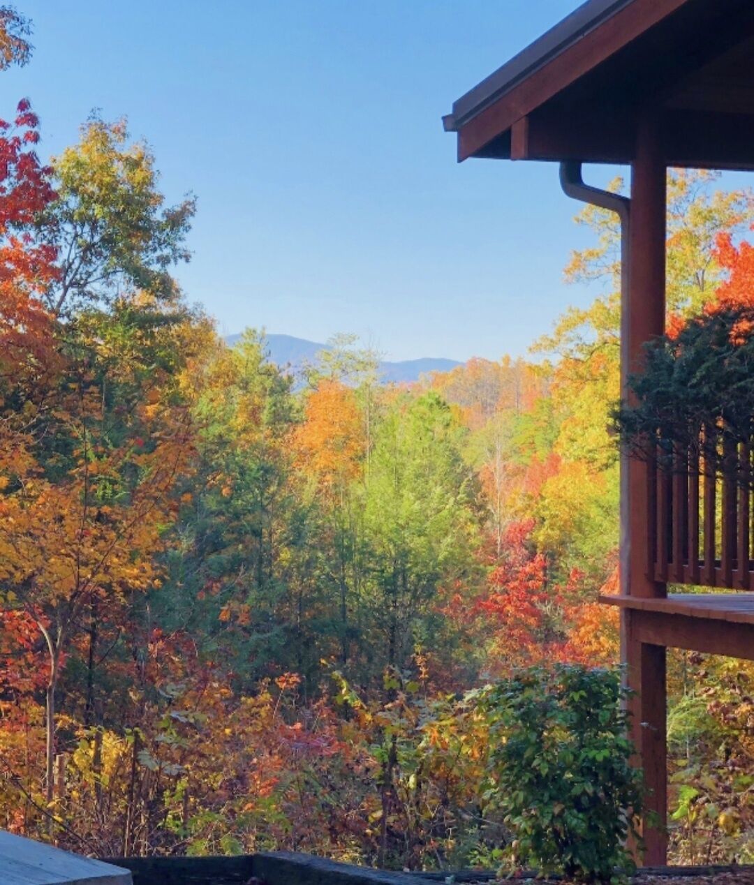 Cabaña, 1 habitación | Jardines del alojamiento