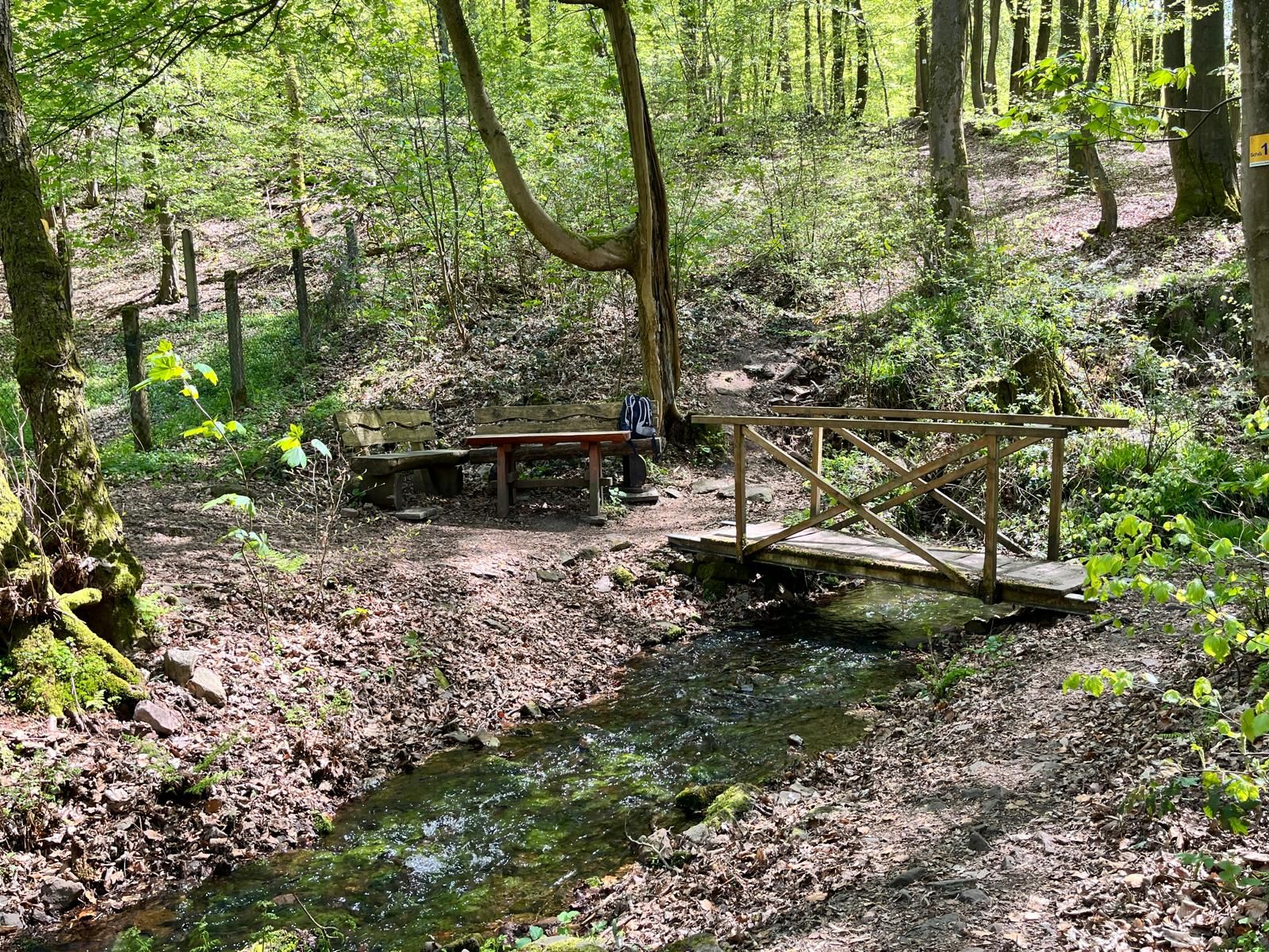 Ein bewaldetes Gebiet mit einer Holzbrücke, einer Bank und einem Wegweiser.