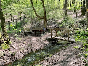Een bebost gebied met een houten brug, een bankje en een bord.