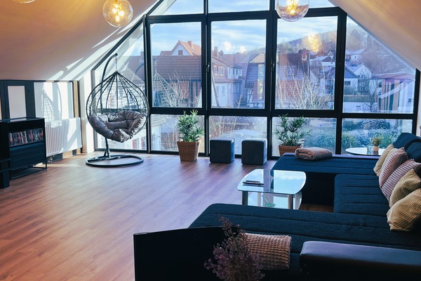 TV connectée, cheminée, lecteur de DVD, livres