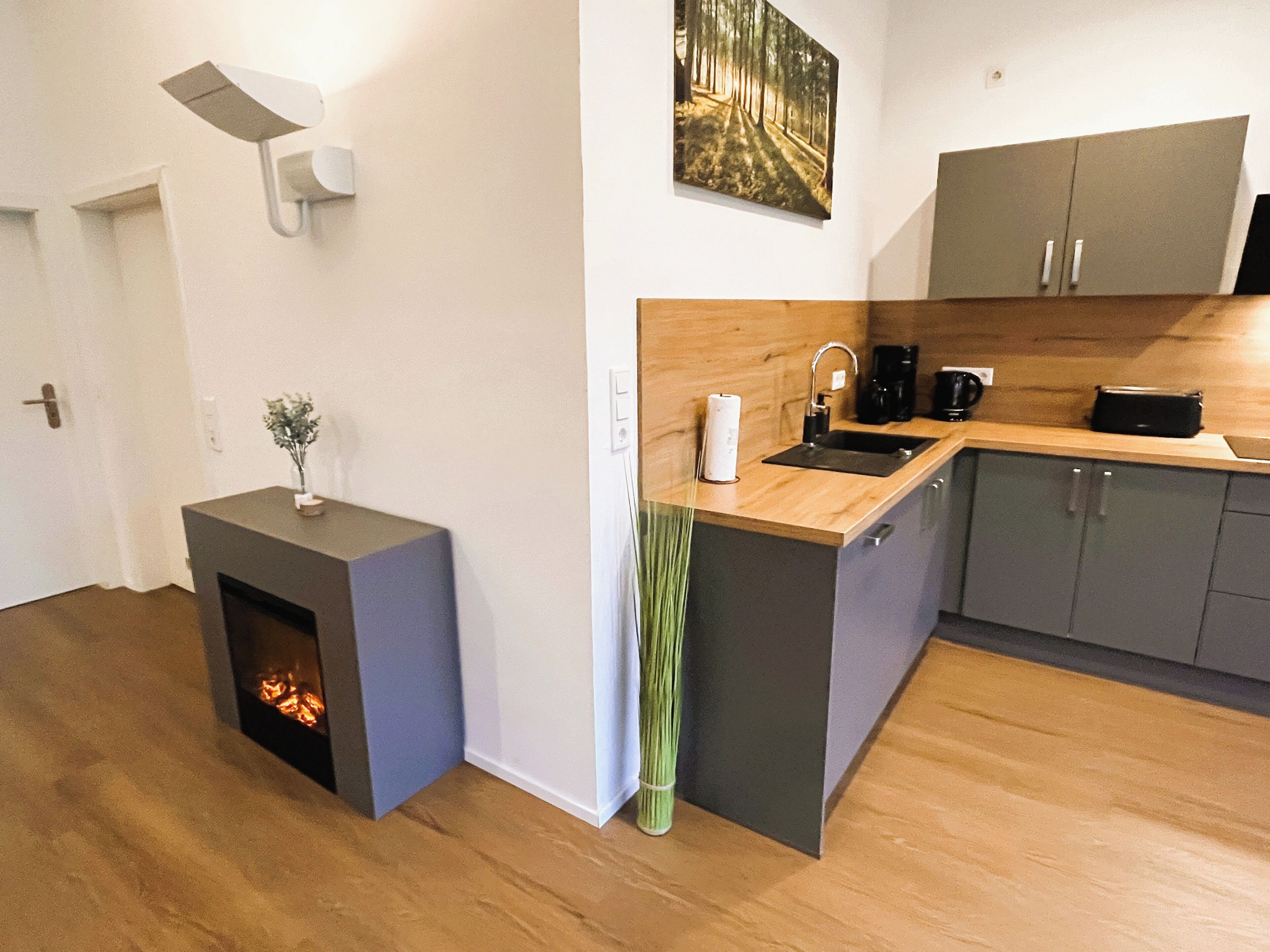 Kühlschrank, Mikrowelle, Ofen, Herdplatte