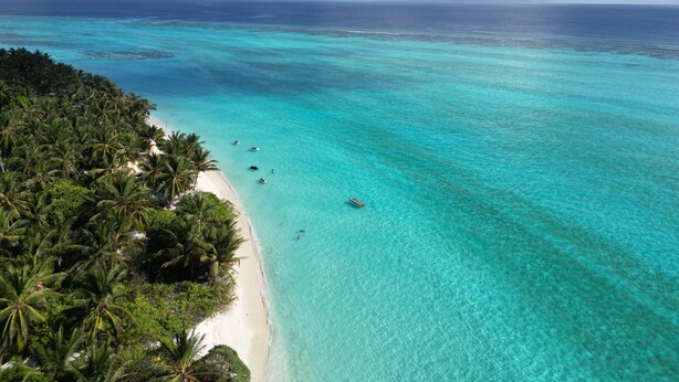 A tropical beach with clear turquoise waters, a sandy shore lined with palm trees, and a few boats anchored near the shore. - Shams Thoddoo (Thoddoo)
