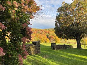 Property grounds - Stunning View 5-bedroom farmhouse in charming Bovina Center (Bovina Center)