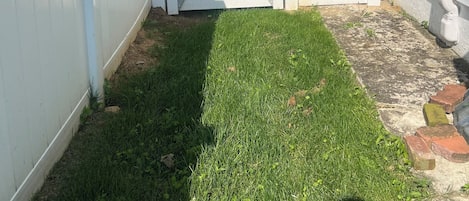 Área da propriedade