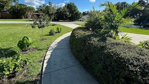 Una calle residencial con aceras, céspedes verdes y pequeños árboles.