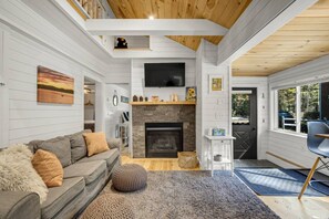 TV, fireplace, books, stereo