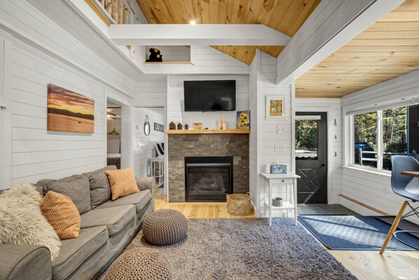 TV, fireplace, books, stereo