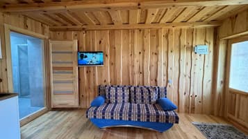 Smart TV, libri