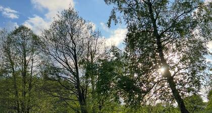 Stay near the Beekeeping Museum in Aukštaitija National Park.