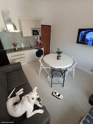 TV