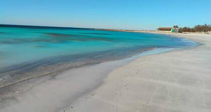 Fabulous apartment with AC in Rosignano Solvay-Castiglioncello