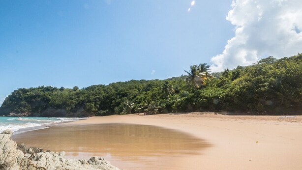 Une plage avec un rivage sablonneux, un premier plan rocheux et une falaise boisée en arrière-plan.