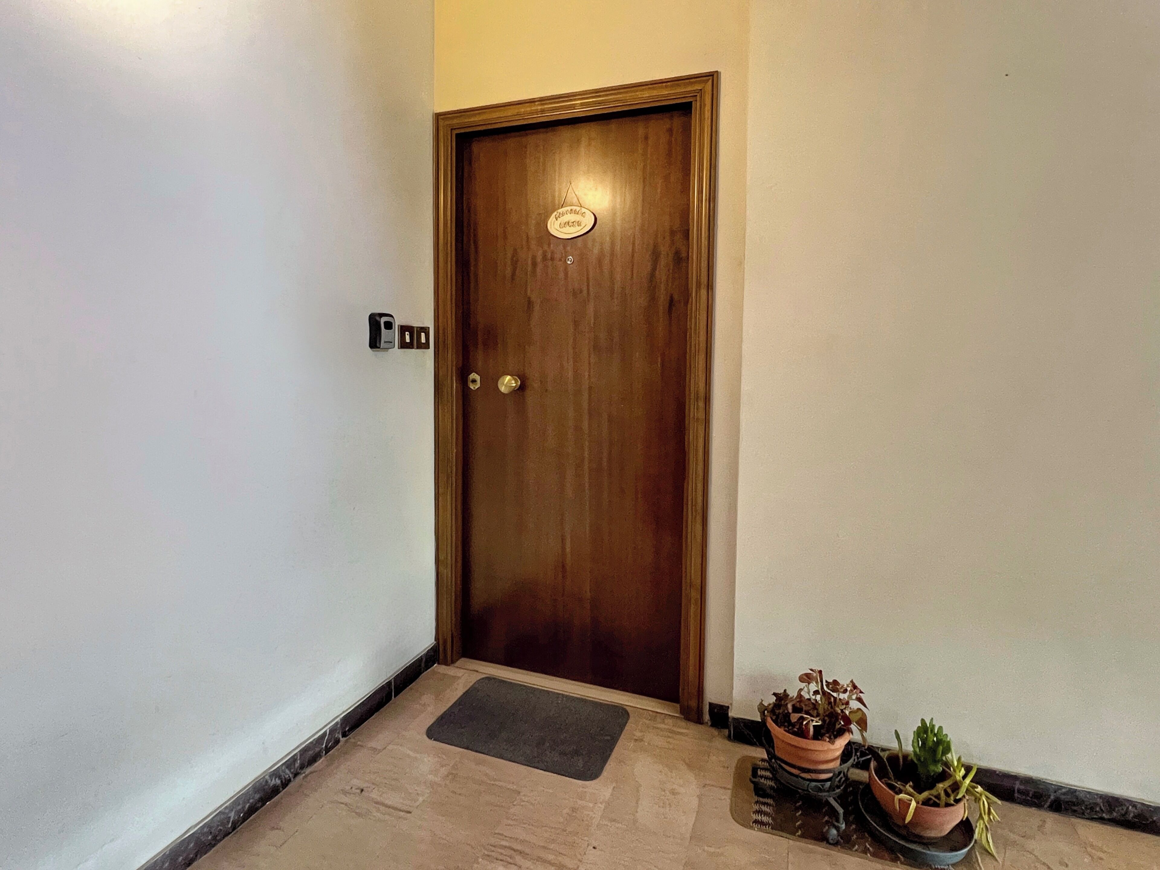A wooden door with a brass handle and a small plaque, a doormat, and two potted plants on the floor.