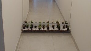 A narrow hallway with a staircase leading to a landing. The hallway has a white tiled floor and walls, and there is a row of potted plants at the bottom. - Búzios Geribá beach house (Búzio)