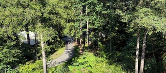 Welcome to “Spruce” at The Cedars