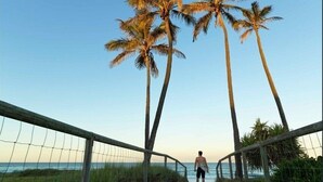 En stig som leder ner till stranden, med palmer och en klar himmel.