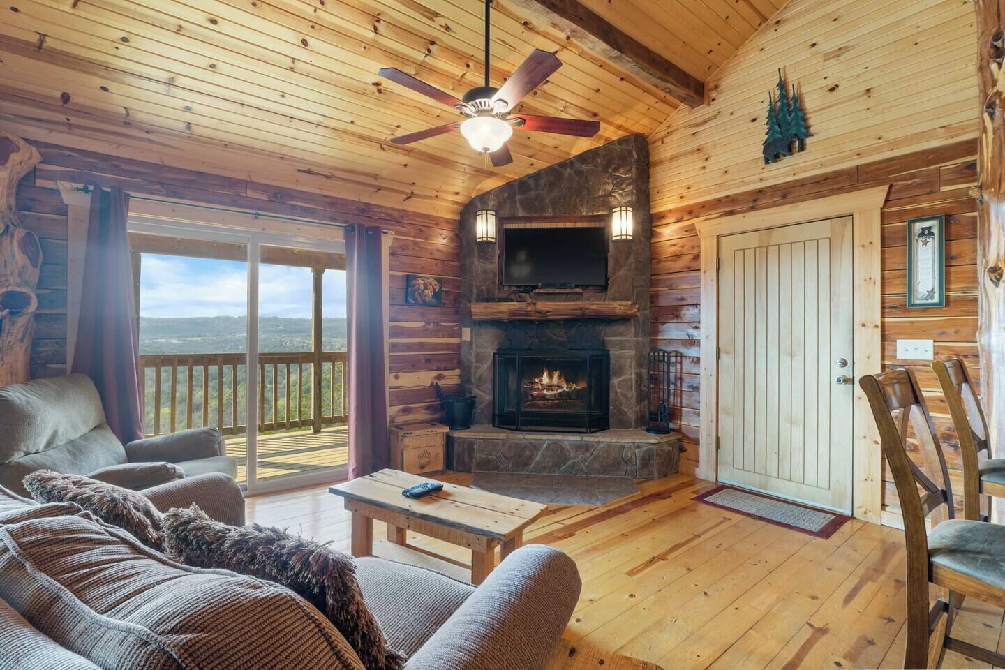 TV, fireplace, DVD player