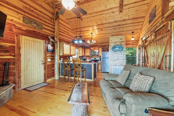 Televisión, chimenea, reproductor de DVD