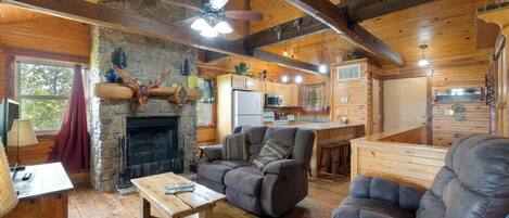 Televisión, chimenea, reproductor de DVD