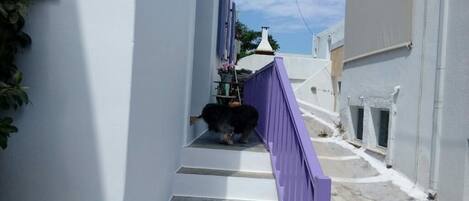 المنطقة المحيطة بالمنشأة