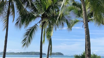 海滩
