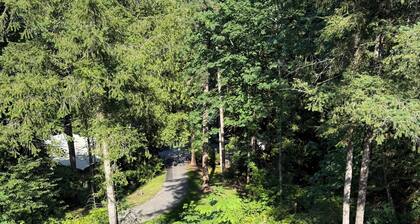 Welcome to âThe Willowsâ at The Cedars
