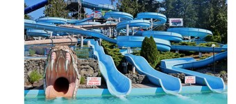 Welcome to “The Willows” at The Cedars