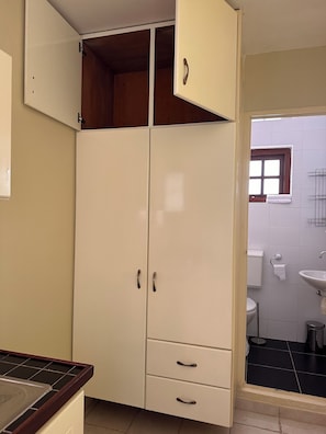 Shower, towels, toilet paper