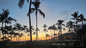 A serene outdoor setting with a pool, palm trees, and a sunset.