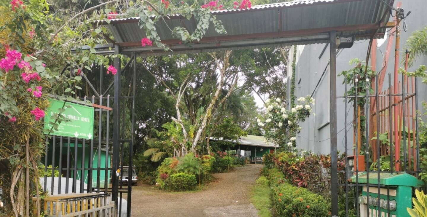 A garden entrance with a metal gate, surrounded by lush greenery and flowering plants.