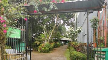 A garden entrance with a metal gate, surrounded by lush greenery and flowering plants.