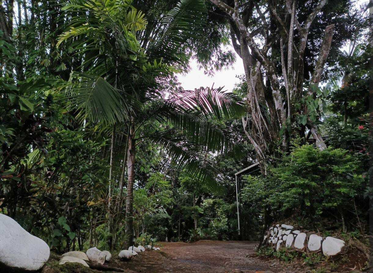 Terrain de l’hébergement 