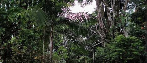 Terrain de lâhĂ©bergement