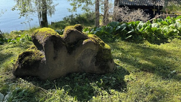 Sammaleen peittämä kalliomuodostelma vehreässä, vihreässä maisemassa, taustalla järvi ja talo.