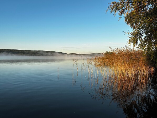 Un lago tranquilo con juncos y árboles reflejados en el agua.