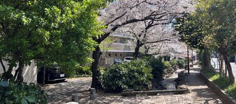 Independent villa located 9 minutes walk from the station, 13 minutes from Tokyo Station, and 14 minutes from Akihabara. Accommodates up to 6 adults and 1 infant. Three bedrooms, 60 square meters of private space.