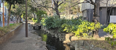 Overnattingsstedets uteområder