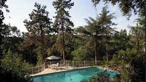 Ein von Bäumen umgebener Swimmingpool mit einem eingezäunten Deckbereich und einer kleinen Laube.