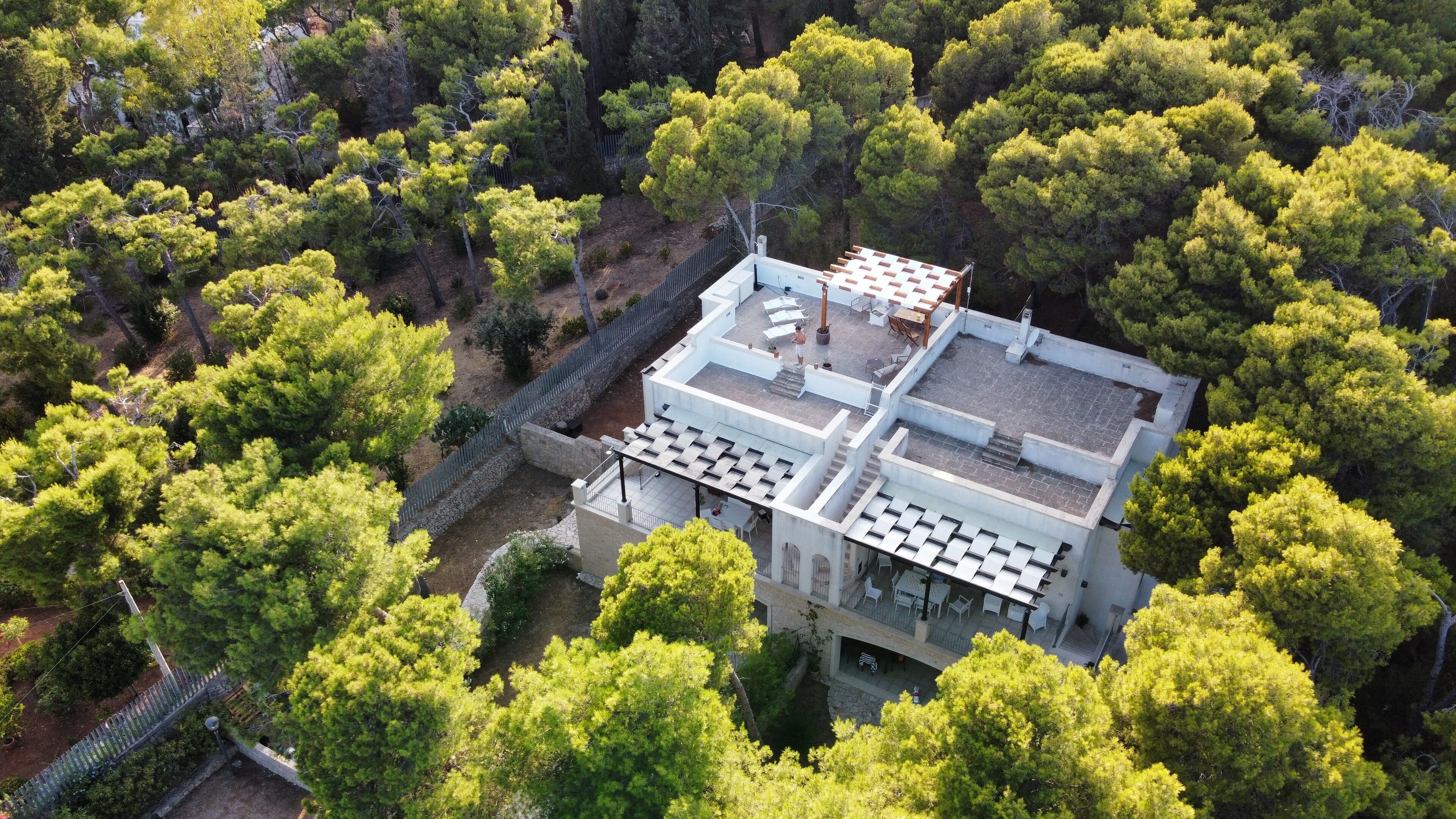 An aerial view of a modern building surrounded by dense green trees.
