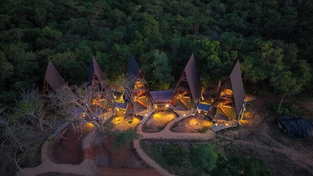 A cluster of treehouse-style cabins with external staircases, surrounded by dense forest.