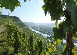 View from property - Apartment in Danma mit Gemeinschaftskuche (Laubach)