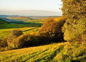 Vista desde la propiedad