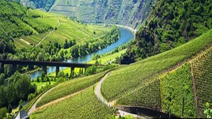 A vineyard with terraced fields and a river. - Apartment in Danma mit Gemeinschaftskuche (Laubach)